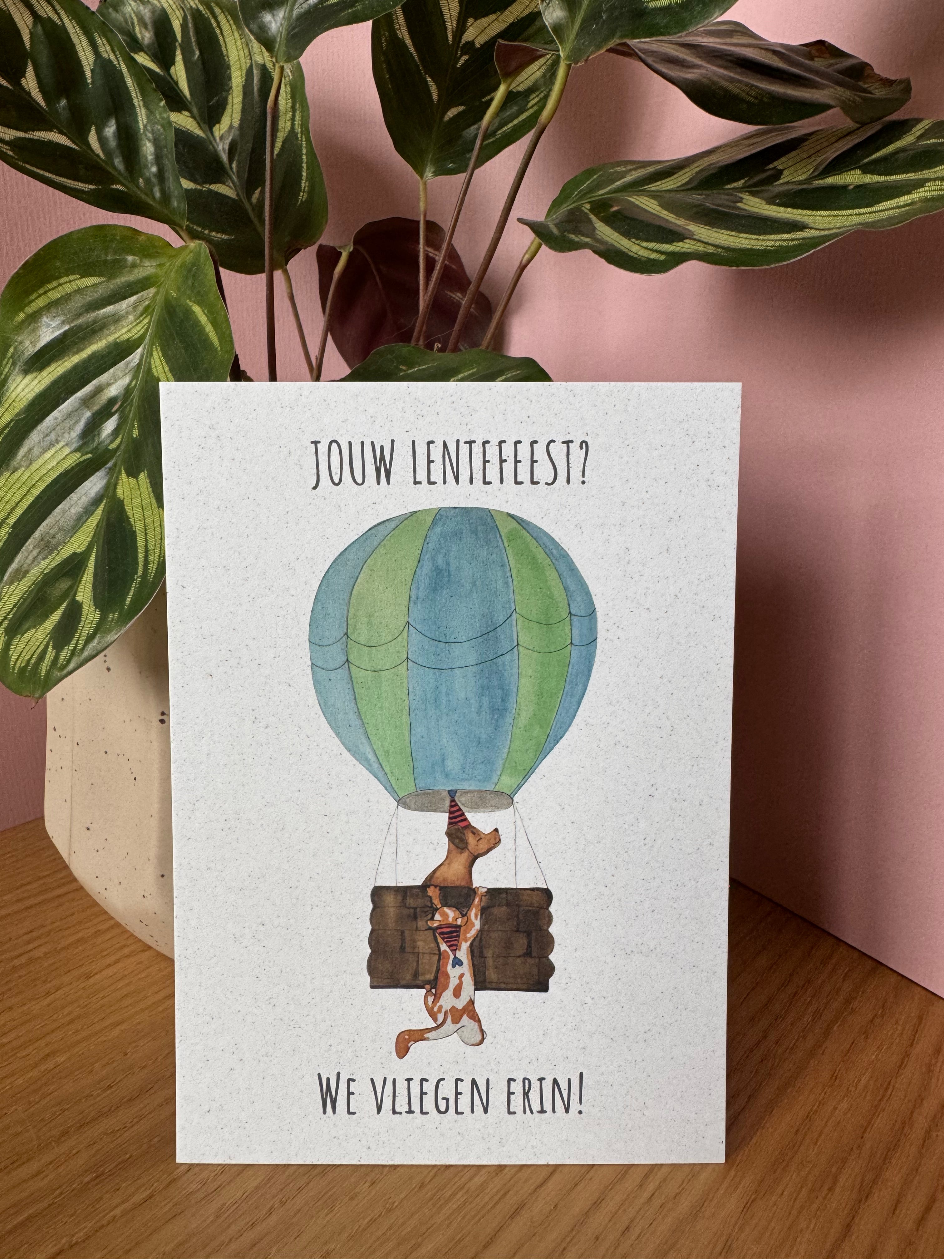 Jouw lentefeest? We vliegen erin!