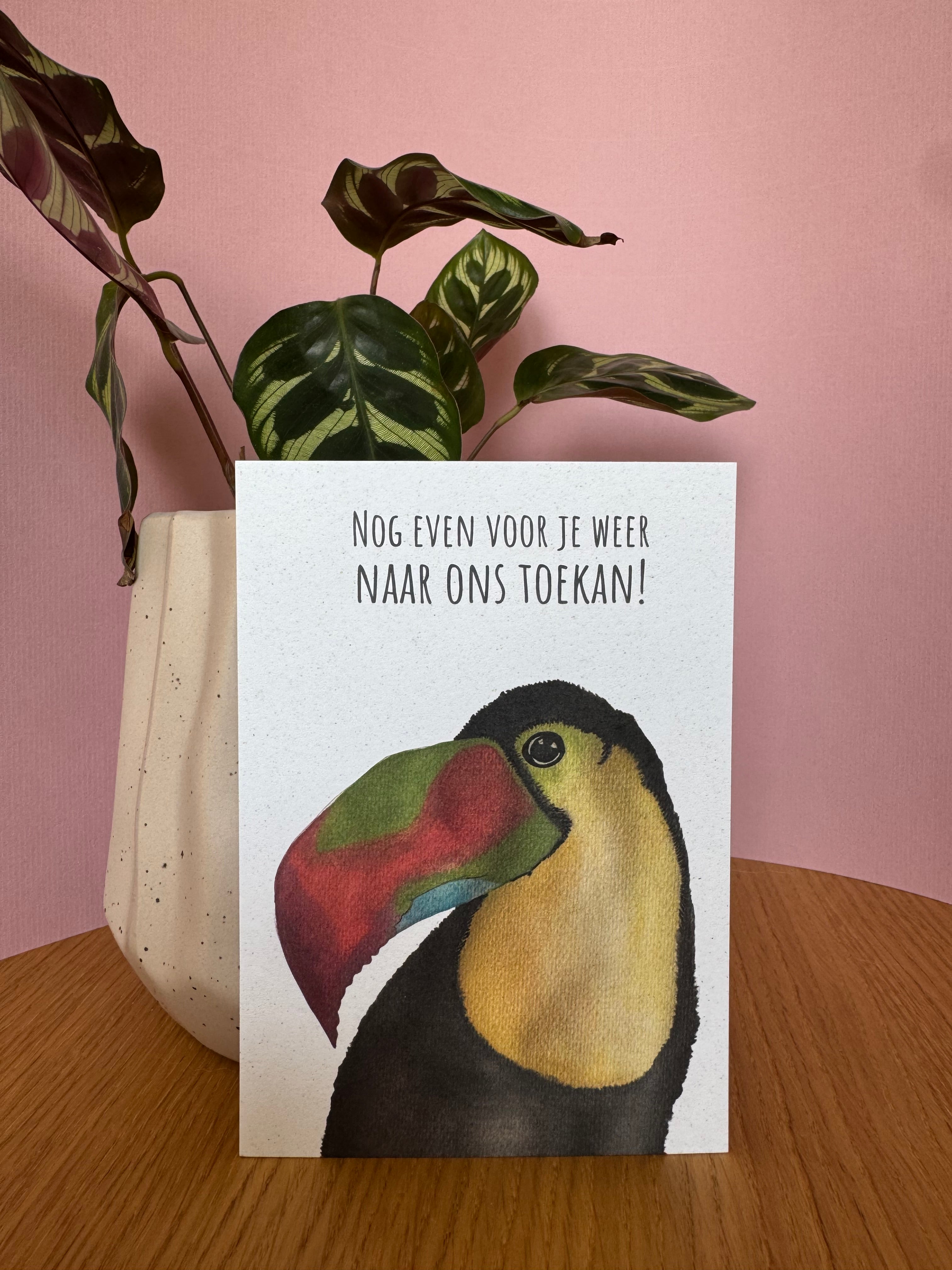 Nog even voor je weer naar ons toekan!