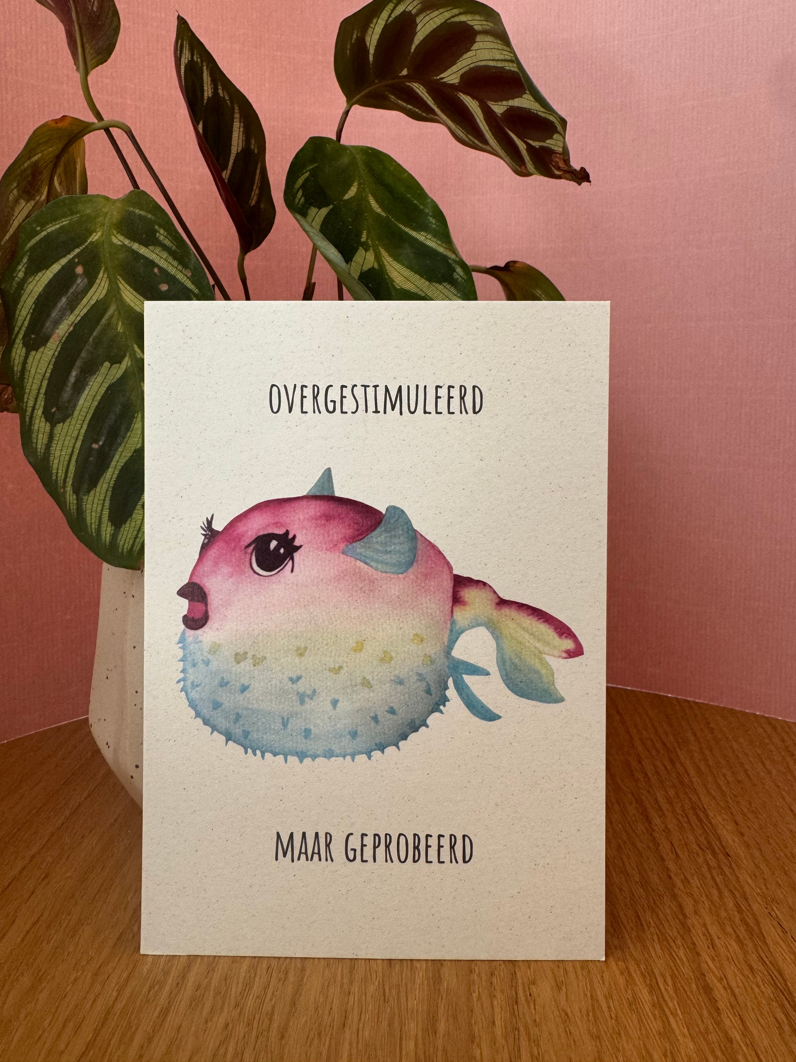 Overgestimuleerd maar geprobeerd