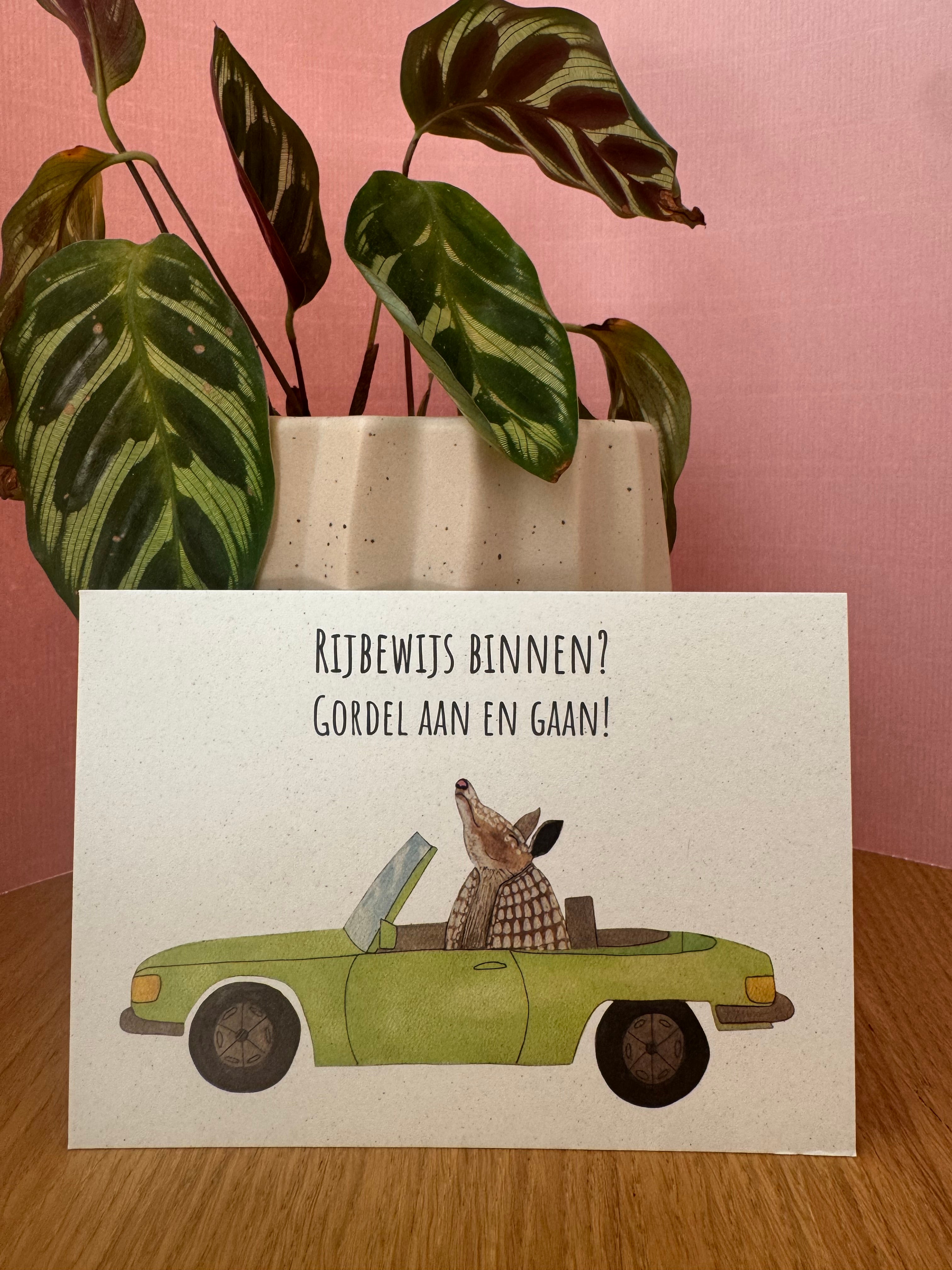 Rijbewijs binnen? Gordel aan en gaan!