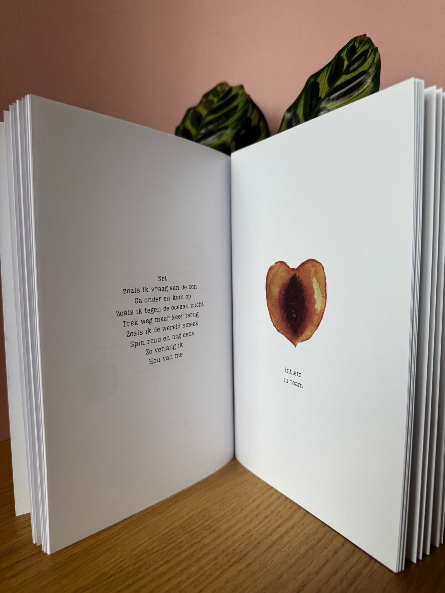 Poëzieboek