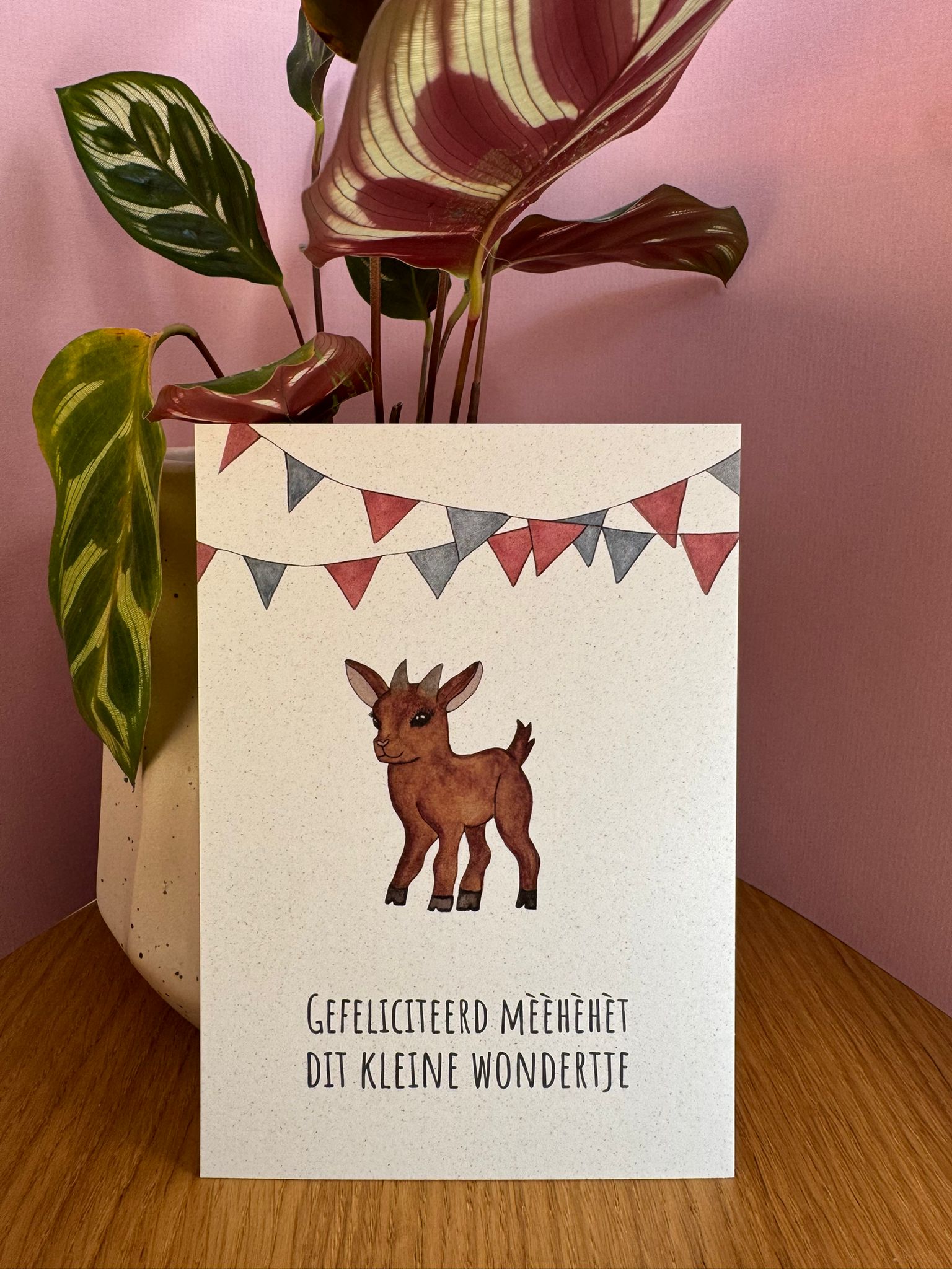 Gefeleciteerd mèèhèhèt dit kleine wondertje