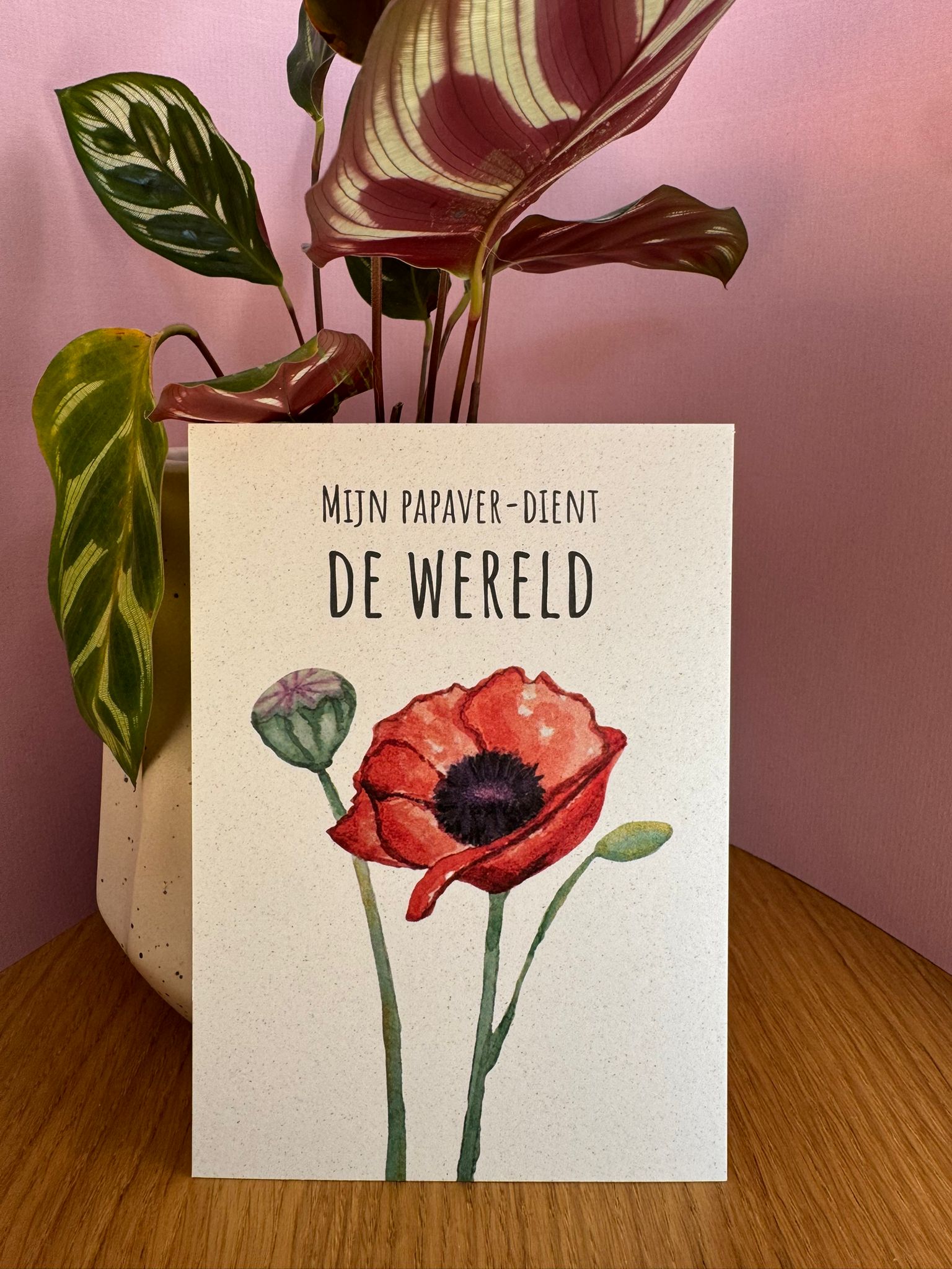 Mijn papaver-dient de wereld